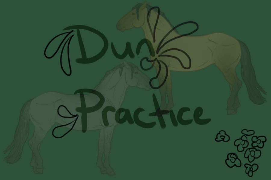 Dun practice