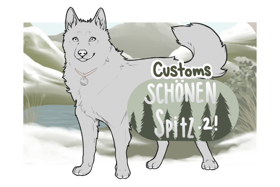 Schönen Spitz Customs