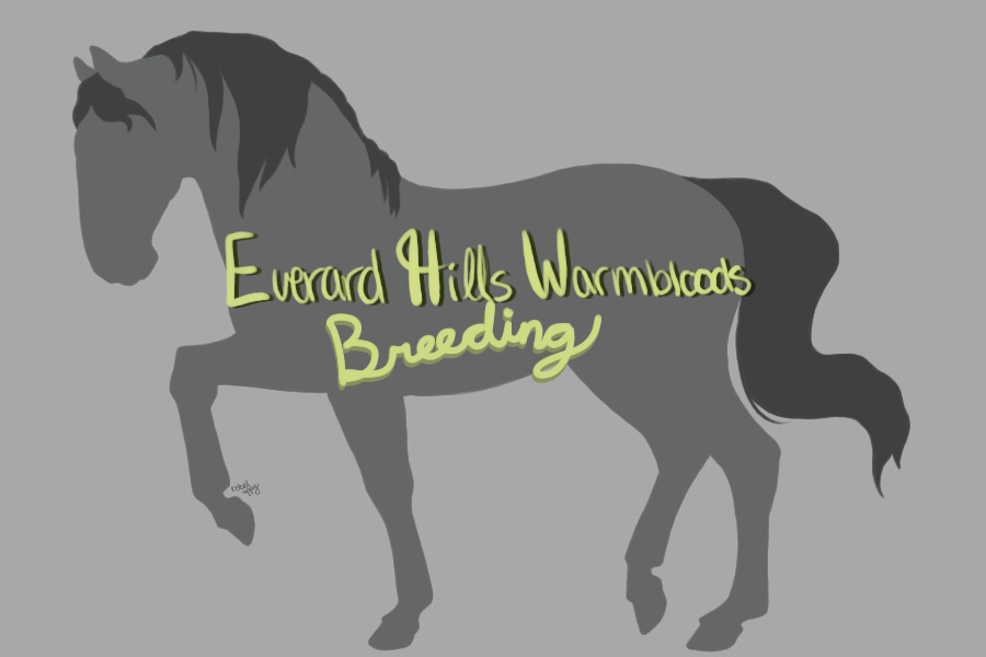 Everard Hills Warmbloods | Breedings