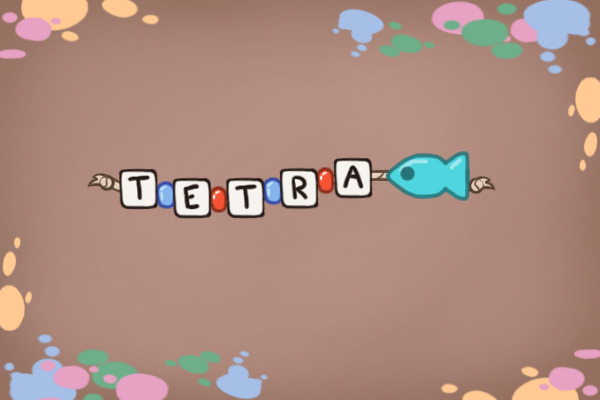 Friendship Bracelet For Tetra