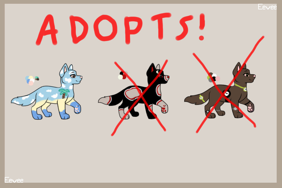 Puppy Adopts!