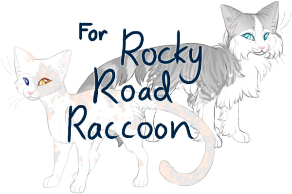 Order for Rocky Road Raccoon