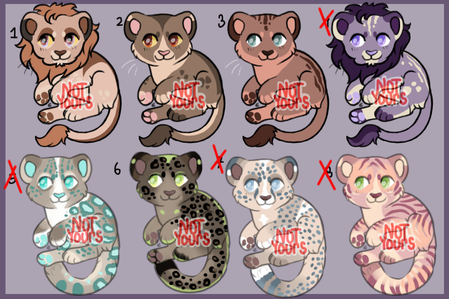 Big Cat Adopts For Tokens