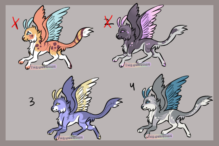 Moth Dogs For Sale!