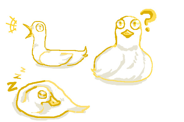 Silly ducks