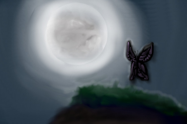 Butterfly in the moonlight