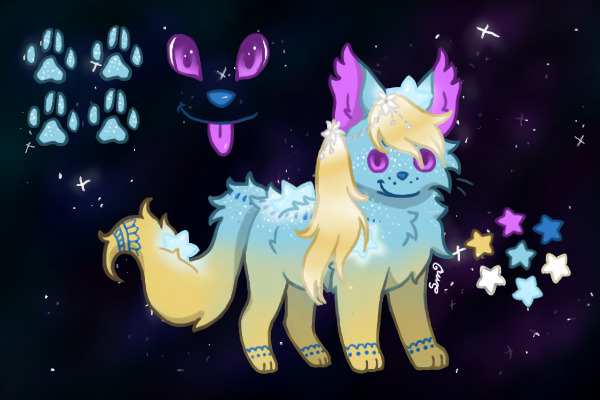 Star Pup 25