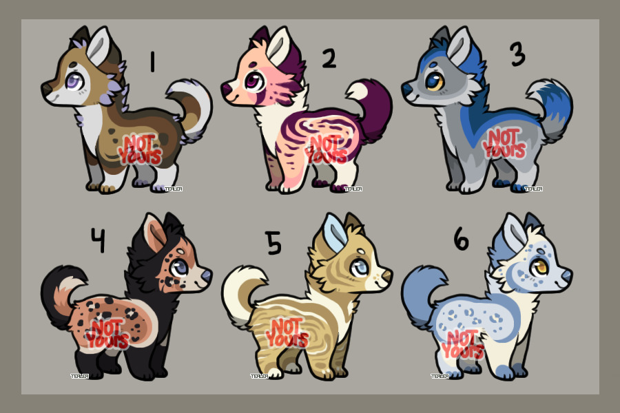 Adoptables For USD/C$