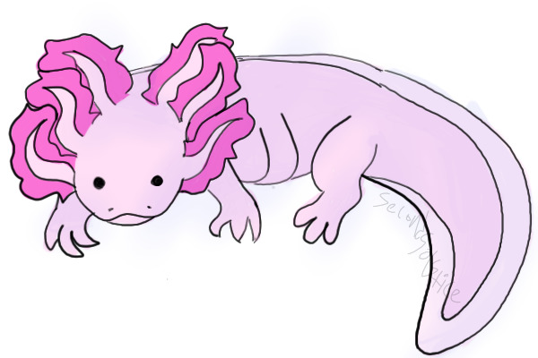 First oekaki drawing, here's an axolotl