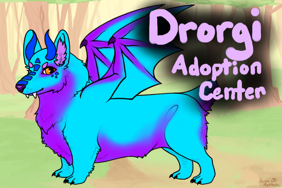 Drorgi Adoption Center