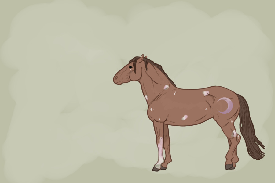 Horse for ferret monarc
