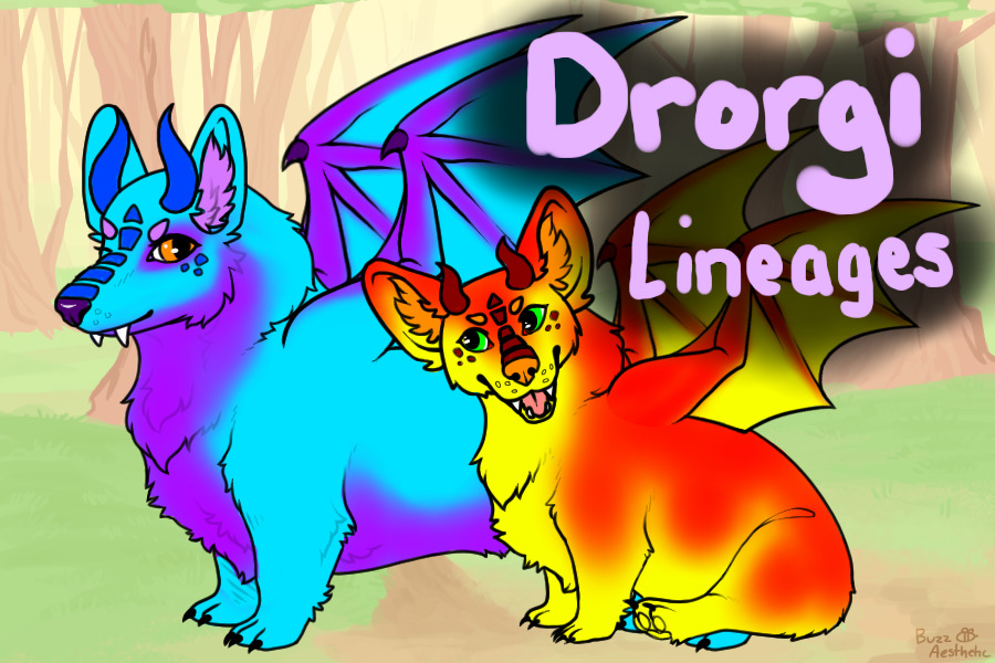 Drorgi Lineages