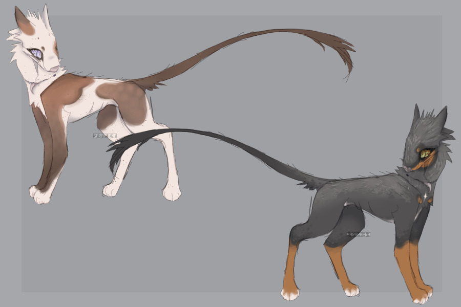 voidwalker desgins 2