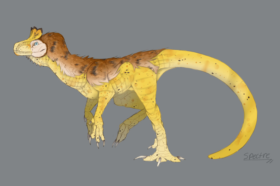 cryolophosaurus 01
