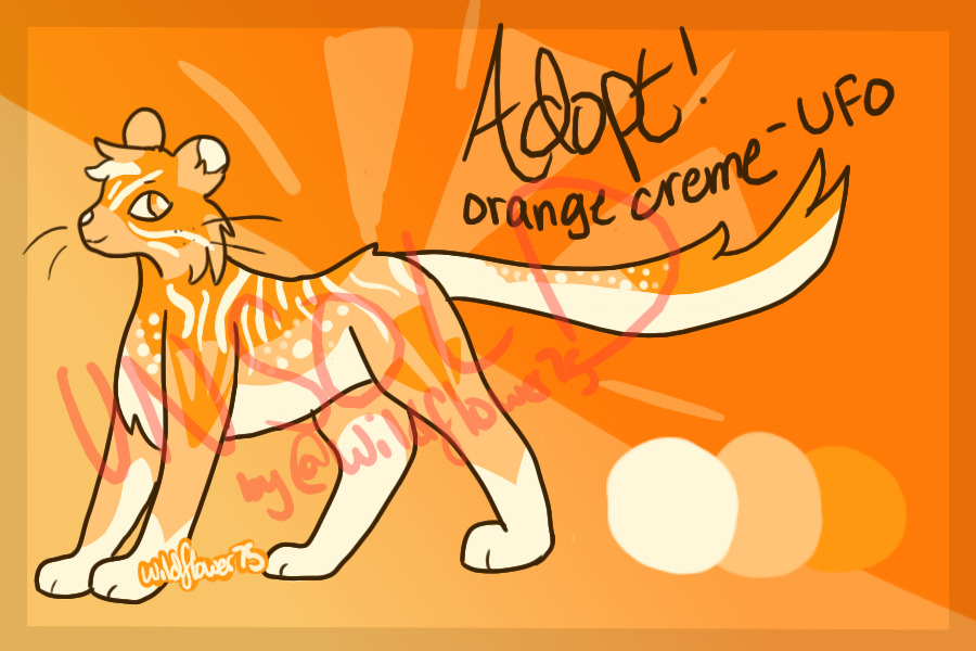 Orange Creme Adopt - CLOSED