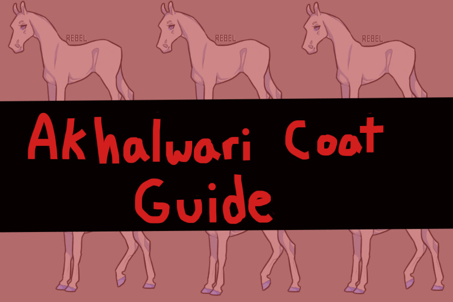 Akhalwari coat guide