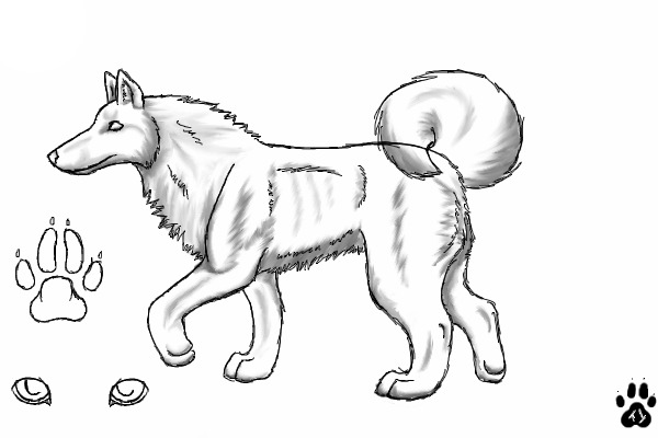 Canine ref lineart