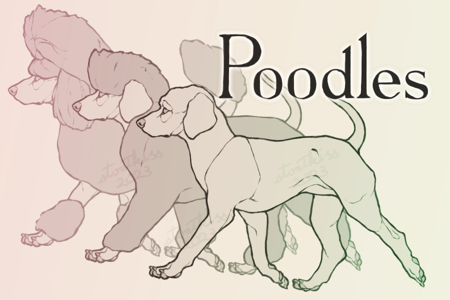 Poodle Party
