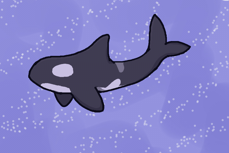 lil orca