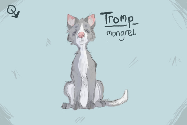 🐕 The mongrel, Tromp. 🐕  (Free commissions)