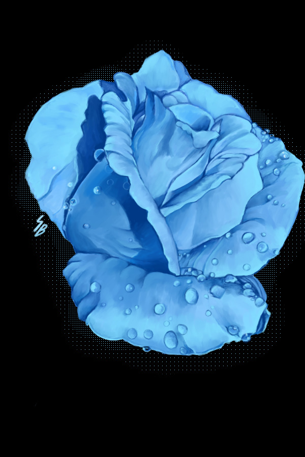 Blue Rose ~♡