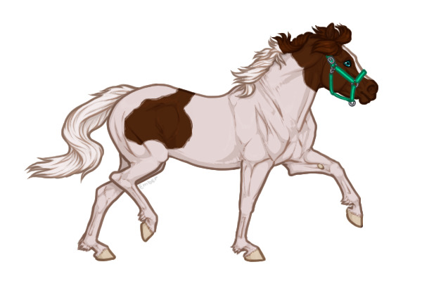 Ferox Welsh Pony #035