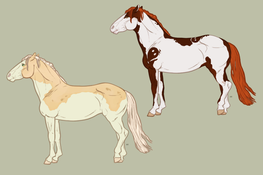 CrazyB Custom Horses