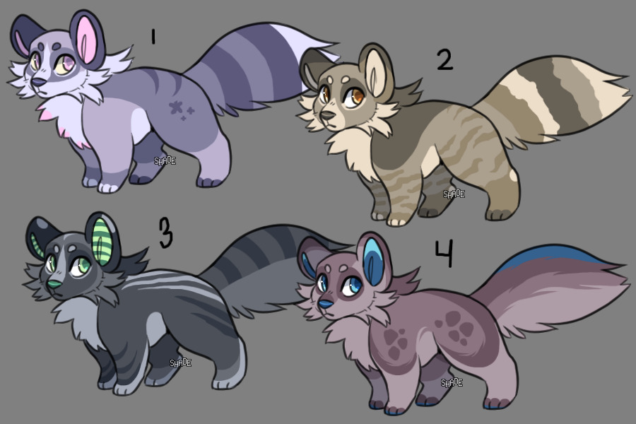 Quick Coon Adopts