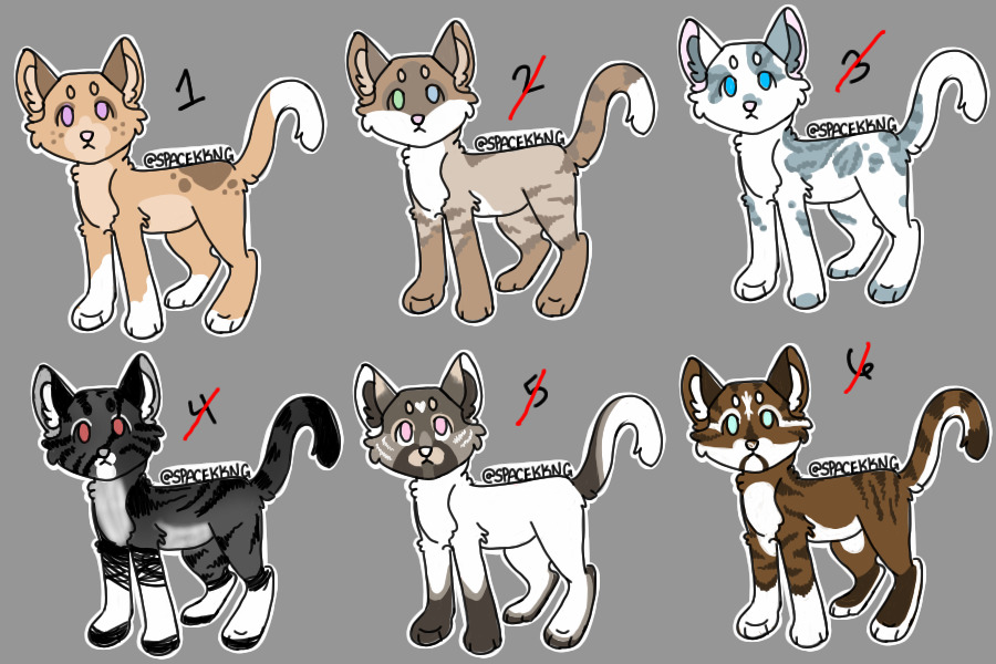 Cat Adopts [1/6 Available]