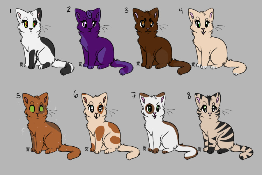 Some of my ThunderClan cats