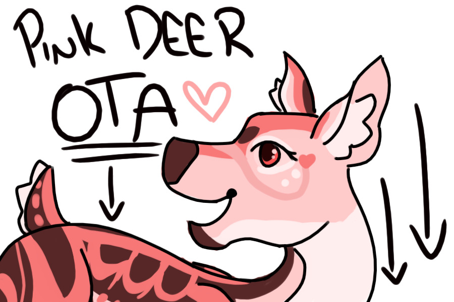 💗LAST DAY Pink Deer OTA!(open)