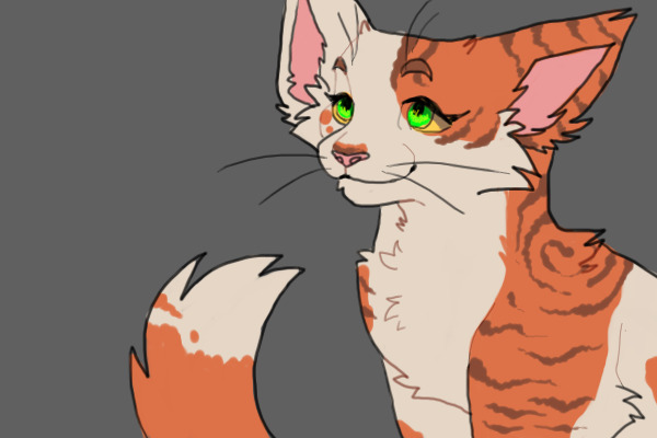 redesign