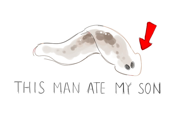 you can see it in his eyes