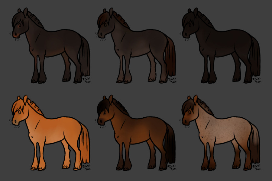 Horse Colors (and questions)