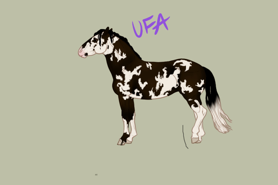 Horse Adoptable Auction