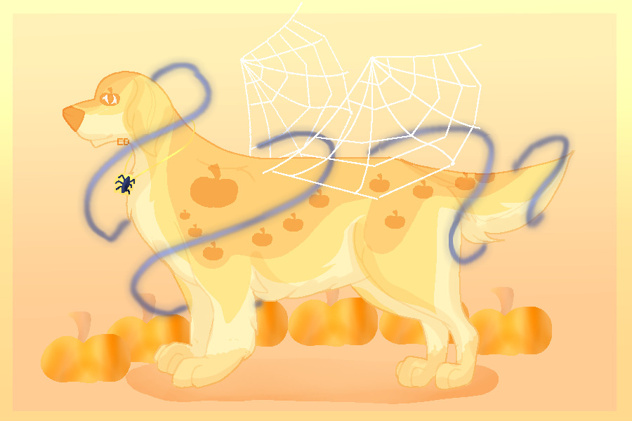 Pumpkins and Spiders Oh my.