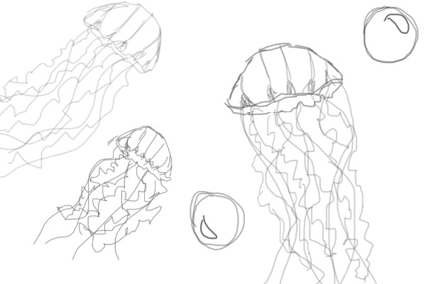 Jellyfish doodles :3