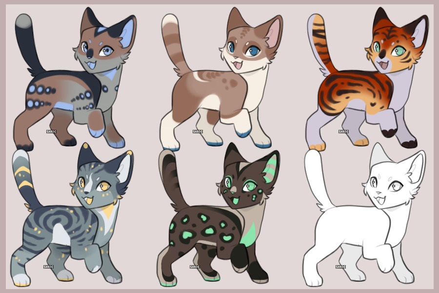 Kitty Adopts For C$