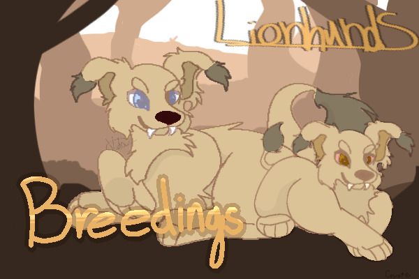 Lionhunds - Breedings