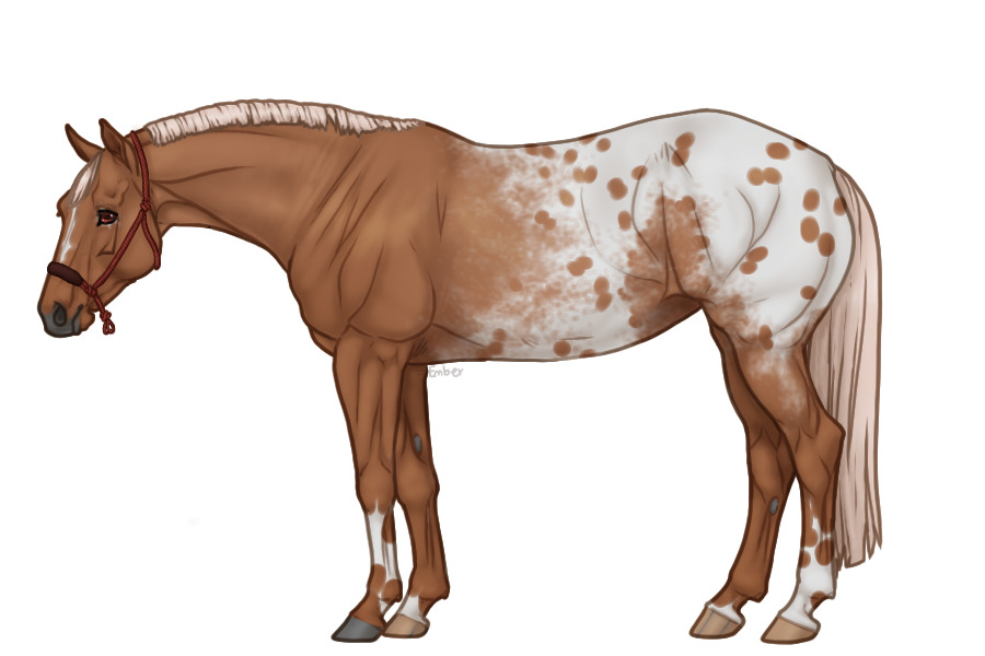 Palisade Roping Horse #056
