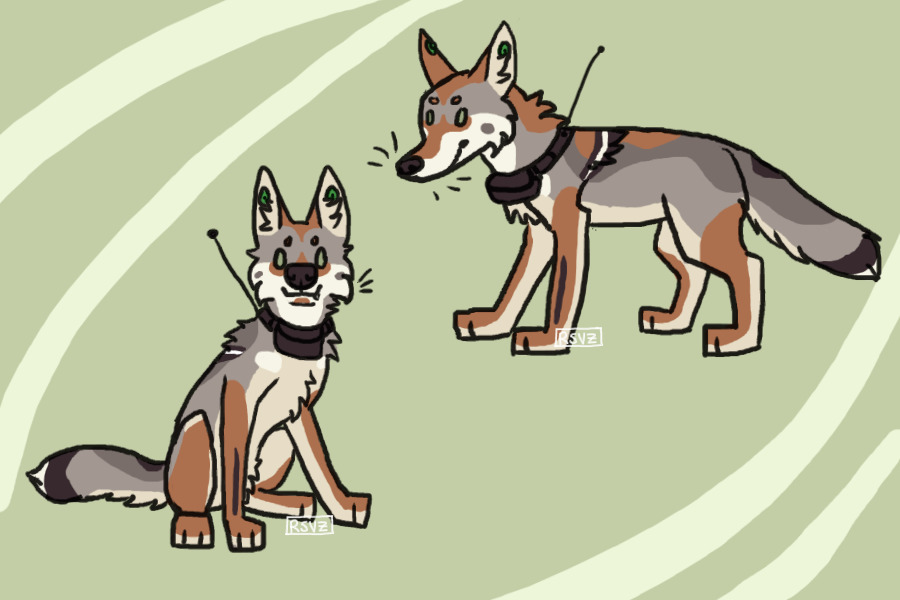 sneef snorf and blorbo