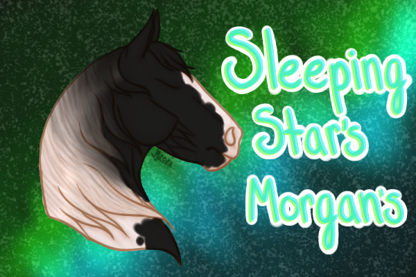 Sleeping Stars Morgans