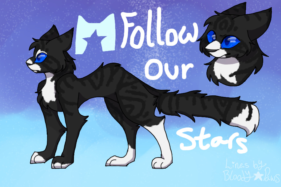 Follow Our Stars ★ A Warrior Cats Themed ARPG