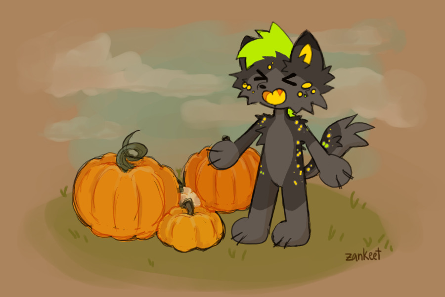 pumpkin patch--