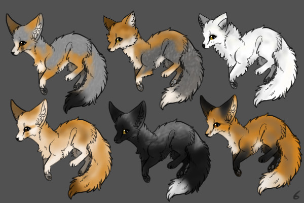 True Foxes (Vulpes)