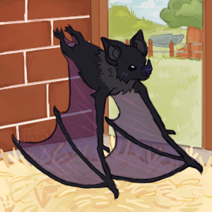 Krypt, Bat Companion