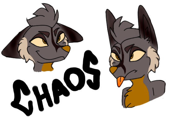 Chaos sketchies