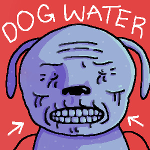 dog water