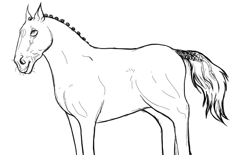 Horse sketche