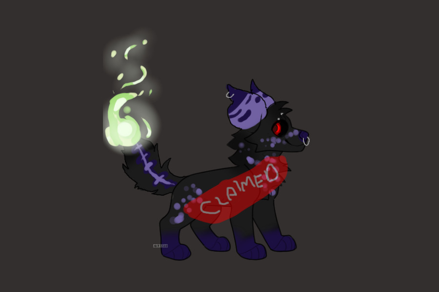 Canine adopt OPEN